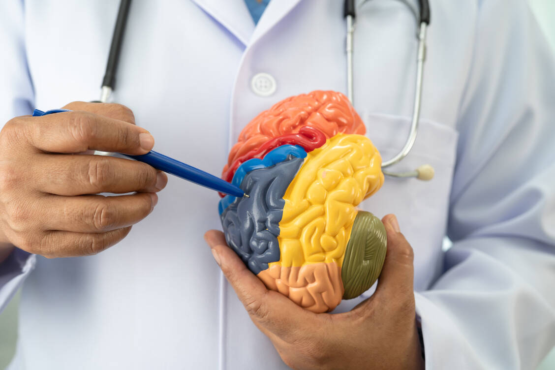 Morbus-Alzheimer-R-ckschlag-f-r-Blarcamesin