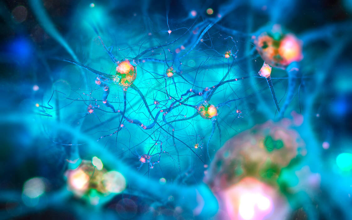 CRISPR-Cas-Technologie-DNA-Editierung-in-sich-nicht-teilenden-Zellen