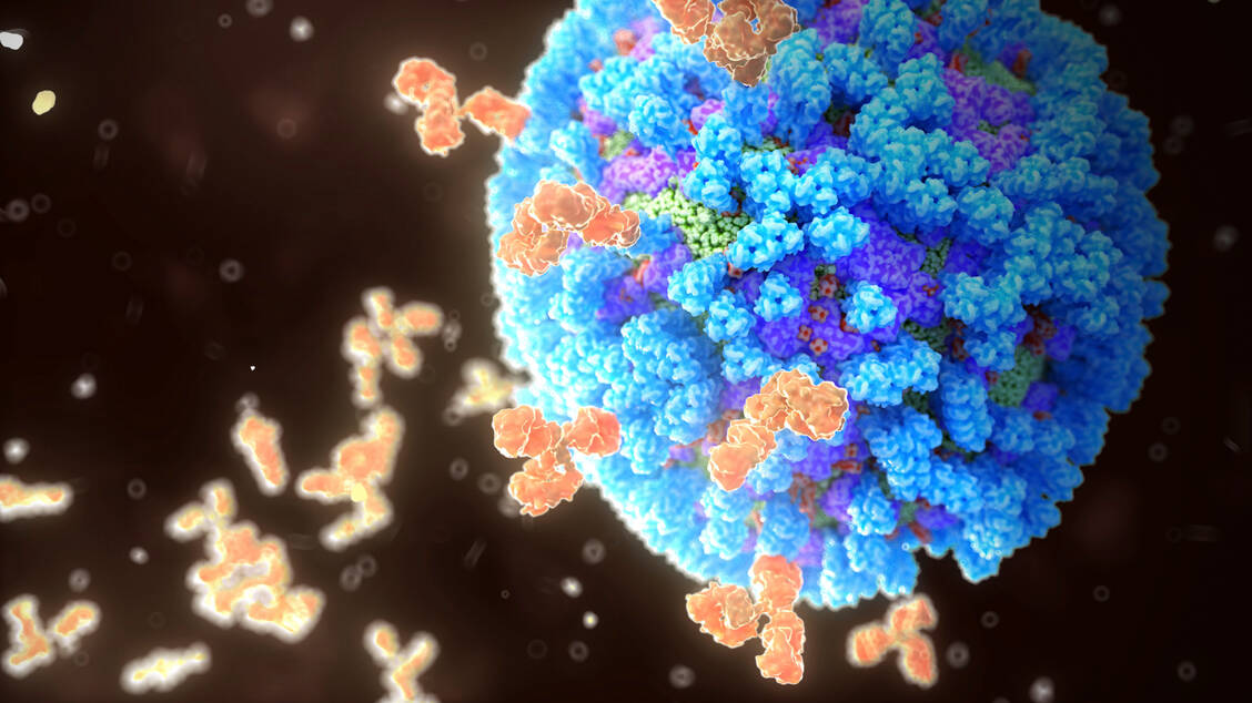 Breiterer-Schutz-mRNA-Impfstoff-k-nnte-Grippeschutz-deutlich-verbessern