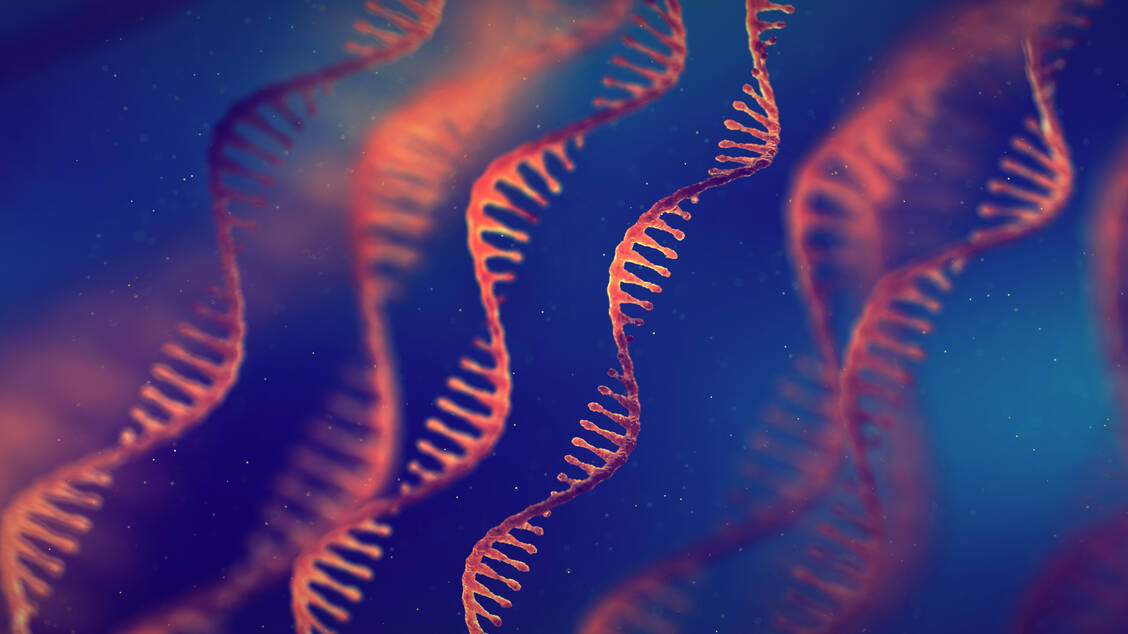 RNA-basierte-Therapeutika-Ein-boomendes-Forschungsfeld