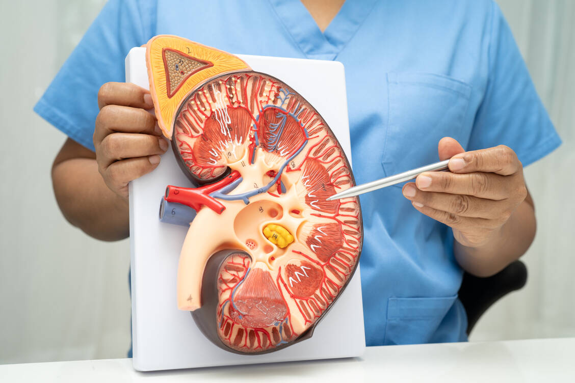 Chronische-Nierenerkrankung-Finerenon-berzeugt-auch-bei-Typ-1-Diabetes