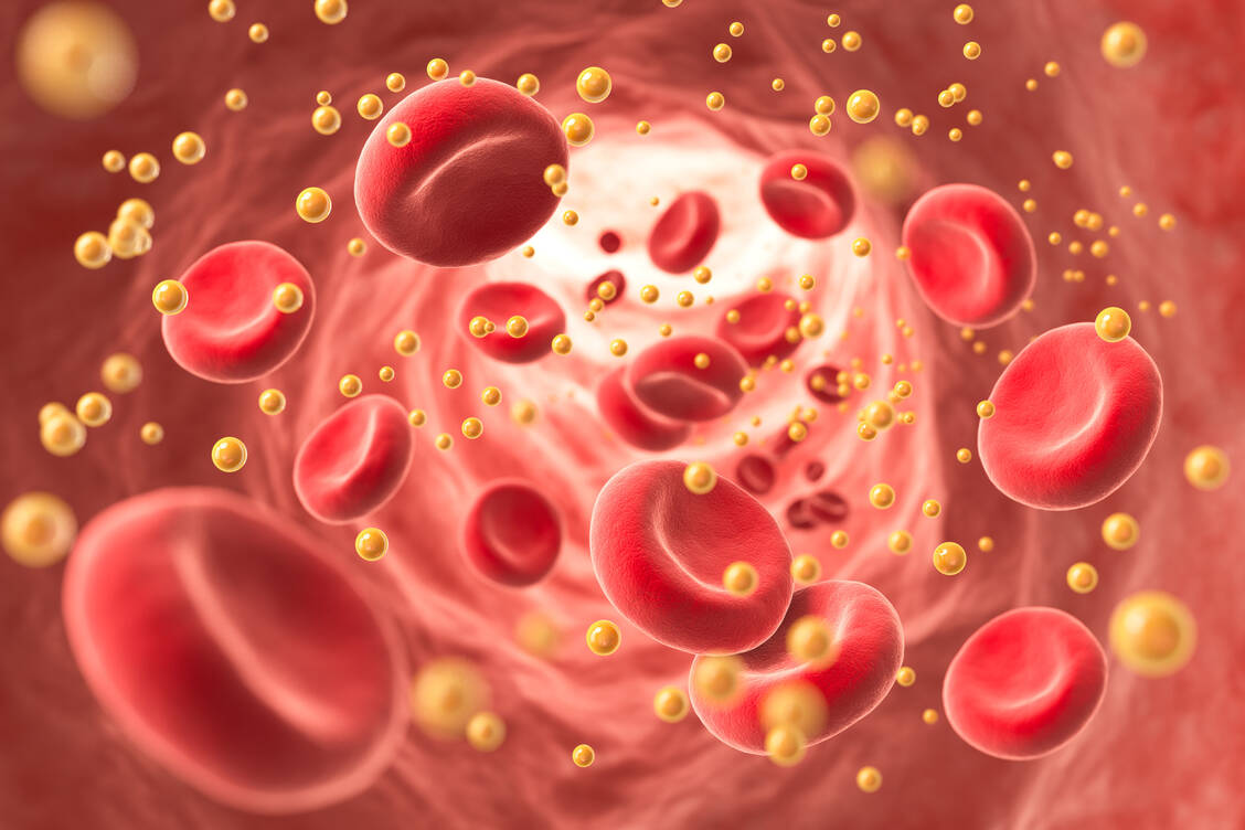 Fettstoffwechsel-St-rungen-Zwei-neue-Arzneistoffe-gegen-zu-hohes-Cholesterol-in-Sicht