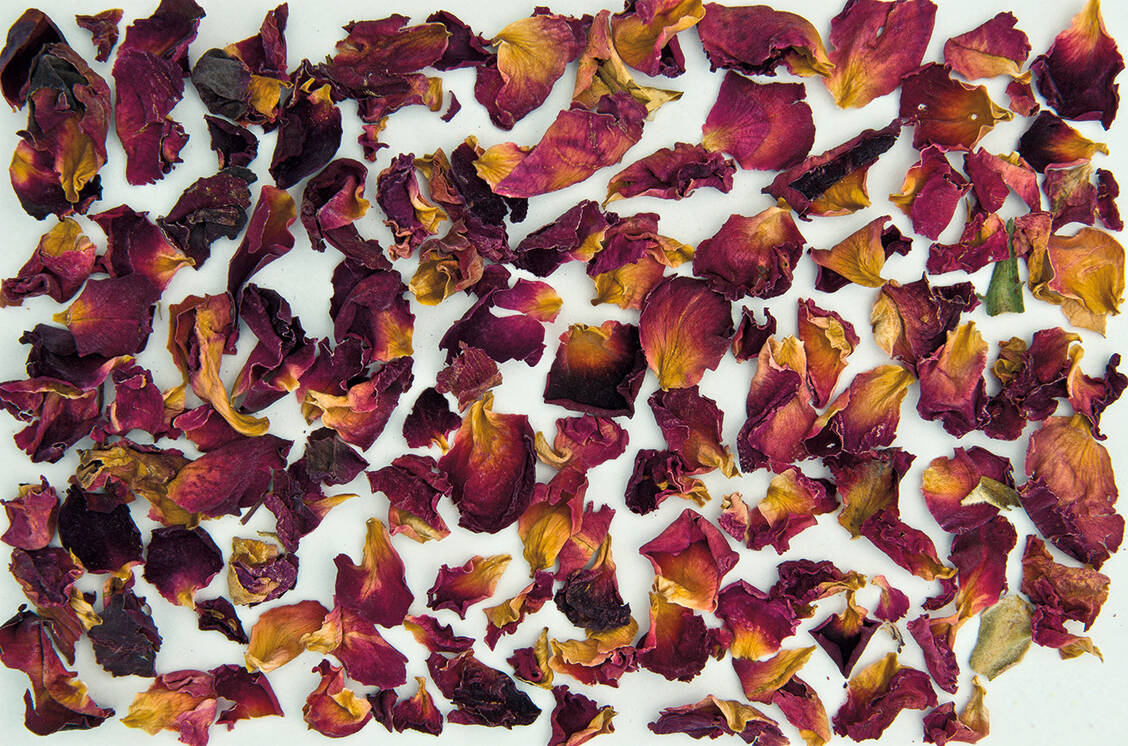 DAC-NRF-Winterlieferung-2025-2-Ausnahmen-best-tigen-die-Regel