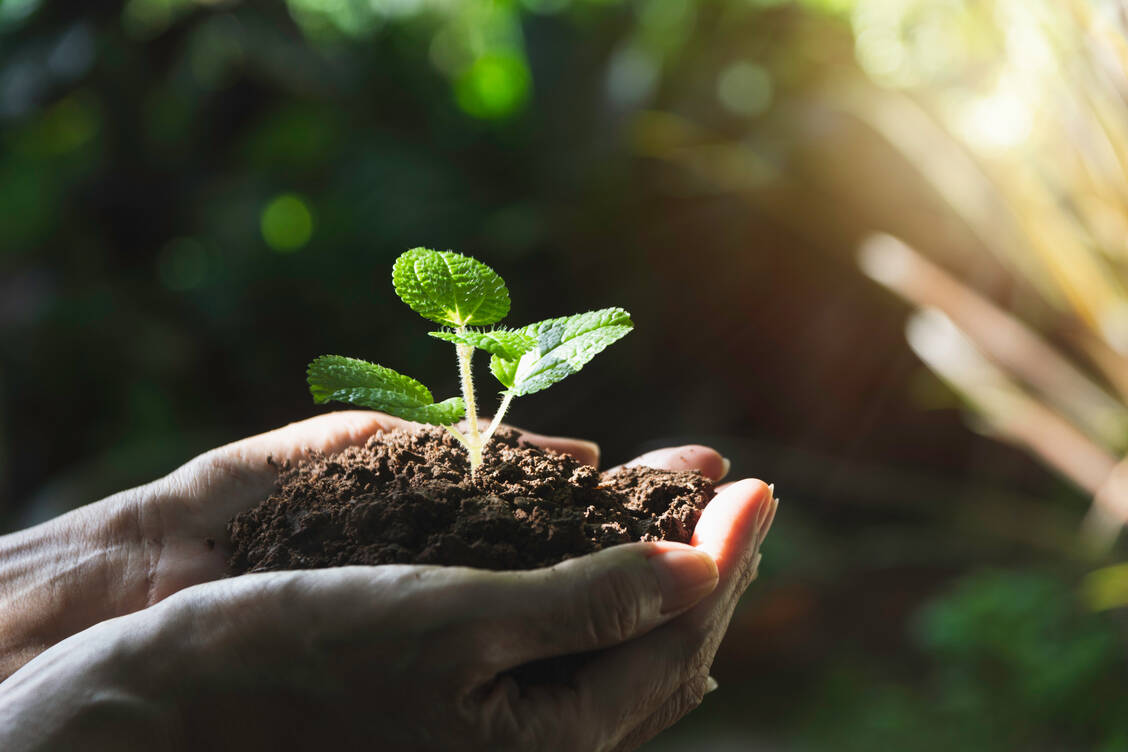 -Pharmacists-for-Future-Aufruf-zur-Klimademo-am-14-November