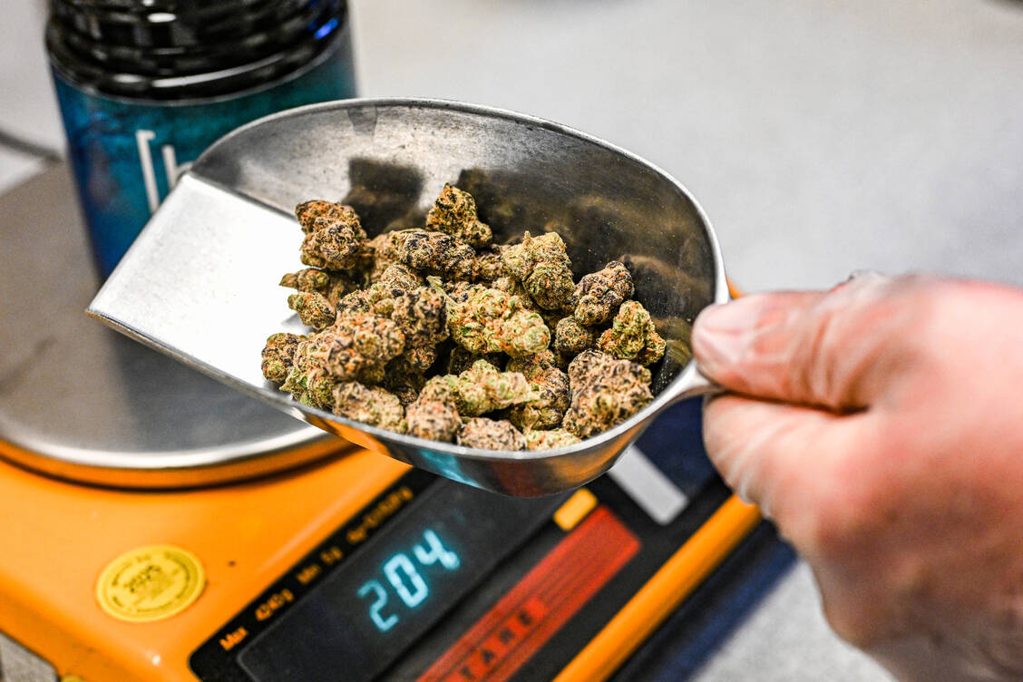 Plattformen-f-r-Cannabis-Apothekerin-kritisiert-Maskenball-mit-Rezepten-