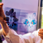 Bayer: Mit Innovationen raus aus der Krise