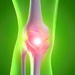 Arthrose: Knorpelersatz aus dem eigenen Bioreaktor