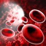 Thrombose: Rote Blutzellen als Mitt�ter
