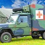 Schweinegrippe: Bundeswehr impft mit Celvapan