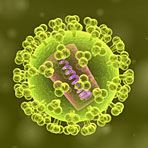 HIV: Aus gescheiterten Impfstrategien lernen