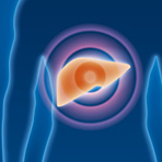 Hepatitis C: Beschleunigte Zulassung f�r Boceprevir
