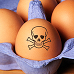 Entwarnung: Viel L�rm um wenig Dioxin