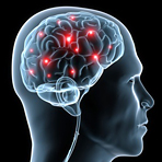 Mit Psychopharmaka gegen Prionen