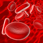 Rote-Hand-Brief: Leuk�mien unter Romiplostim