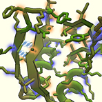Computerspieler modellieren virales Protein