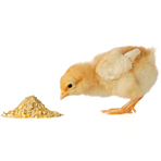 Antibiotika: Wie gro� ist der Verbrauch in der Tiermedizin?