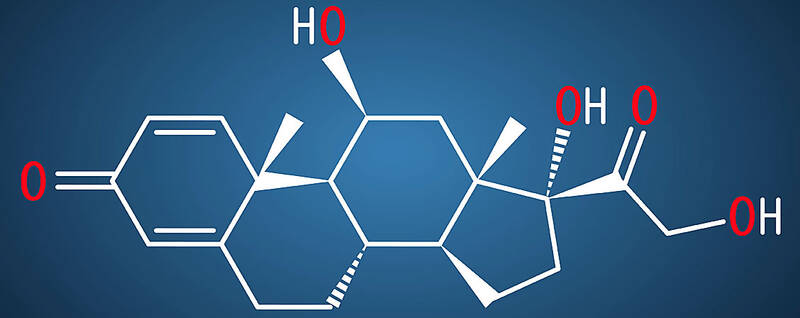 cortison tabletten prednisolon