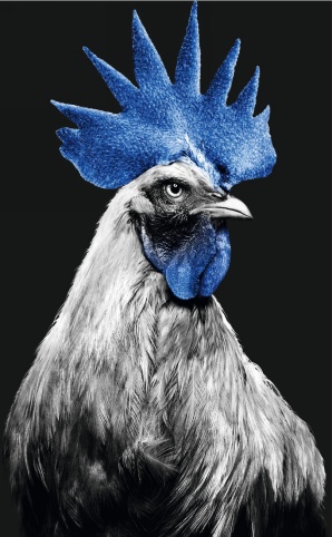 kauf sildenafil generische