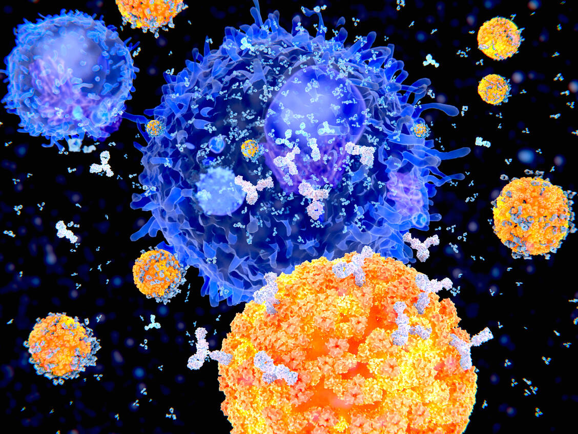 Bei der CAR-T-Zelltherapie werden die eigenen T-Zellen gentechnisch mit einem chimären Rezeptor ausgestattet, der das Erkennen der  Krebszellen erleichtert, damit sie neutralisiert werden können. / Foto: Getty Images/Juan Gärtner/Science Photo Library