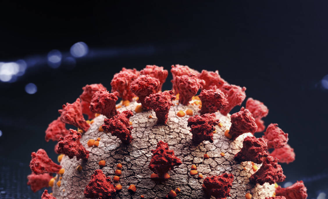 Das Spike-Protein von SARS-CoV-2 und anderen Coronaviren besitzt unterschiedliche Targets für neutralisierende Antikörper. / Foto: Getty Images/Radoslav Zilinsky