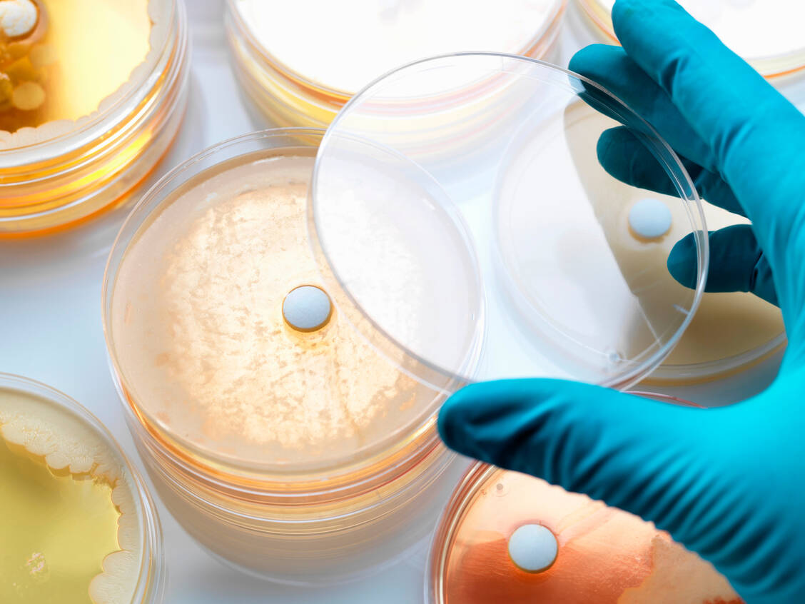 Bakterien können mithilfe von Betalactamasen unempfindlich gegen Betalactam-Antibiotika werden. Der neue Betalactamase-Hemmer Enmetazobactam schaltet eine bestimmte Klasse dieser Enzyme aus. / Foto: Getty Images/Andrew Brookes