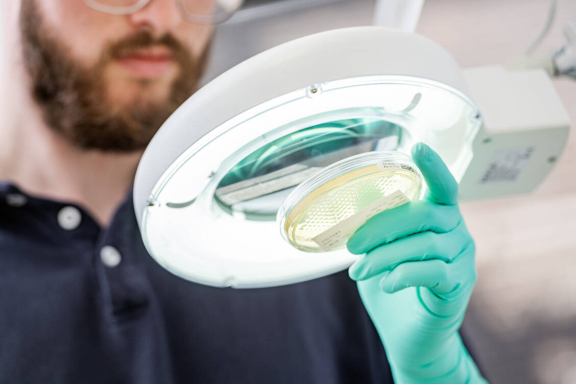 Der Standort Aschaffenburg hat im Hinblick auf die Herstellung patientenindividueller Therapien nur eine unterdurchschnittliche Rentabilität, erklärte die Medios AG. / © Medios Group