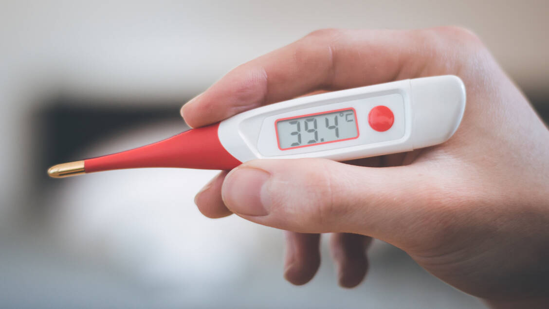 Fieber ist ein wichtiges Symptom einer Infektion mit dem Chikungunyavirus. Daneben können Gelenkschmerzen und weitere Symptome auftreten. / Foto: Adobe Stock/Patrick Daxenbichler