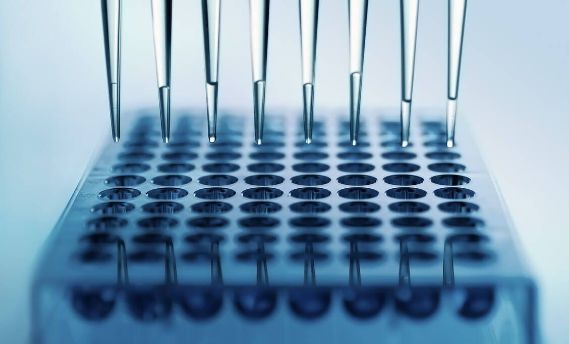 Mit welcher Variante des Coronavirus ein Mensch infiziert ist, kann nur per Sequenzierung festgestellt werden. In Großbritannien wird deutlich mehr sequenziert als beispielsweise in Deutschland. / Foto: Adobe Stock/angellodeko
