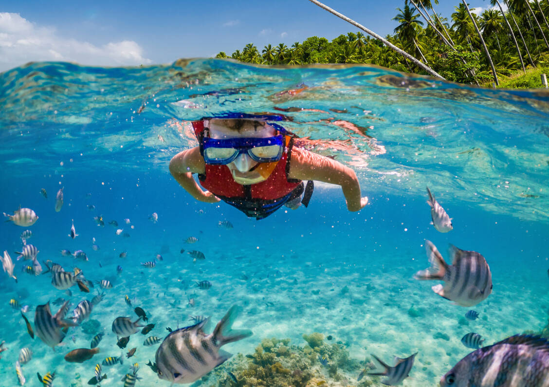 Vor allem, aber bei Weiten nicht nur Korallen reagieren empfindlich auf einige UV-Filter in Sonnenschutzprodukten. / Foto: Getty Images/Anton Petrus