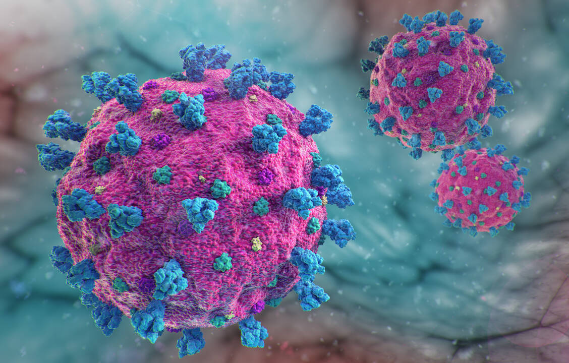 Das Coronavirus SARS-CoV-2 hat sich im Lauf der Pandemie weiterentwickelt. Je nachdem, mit welcher Variante man infiziert war beziehungsweise mit welchem Impfstoff man geimpft ist, hat das Immunsystem unterschiedlich reagiert. / Foto: Adobe Stock/dermatzke