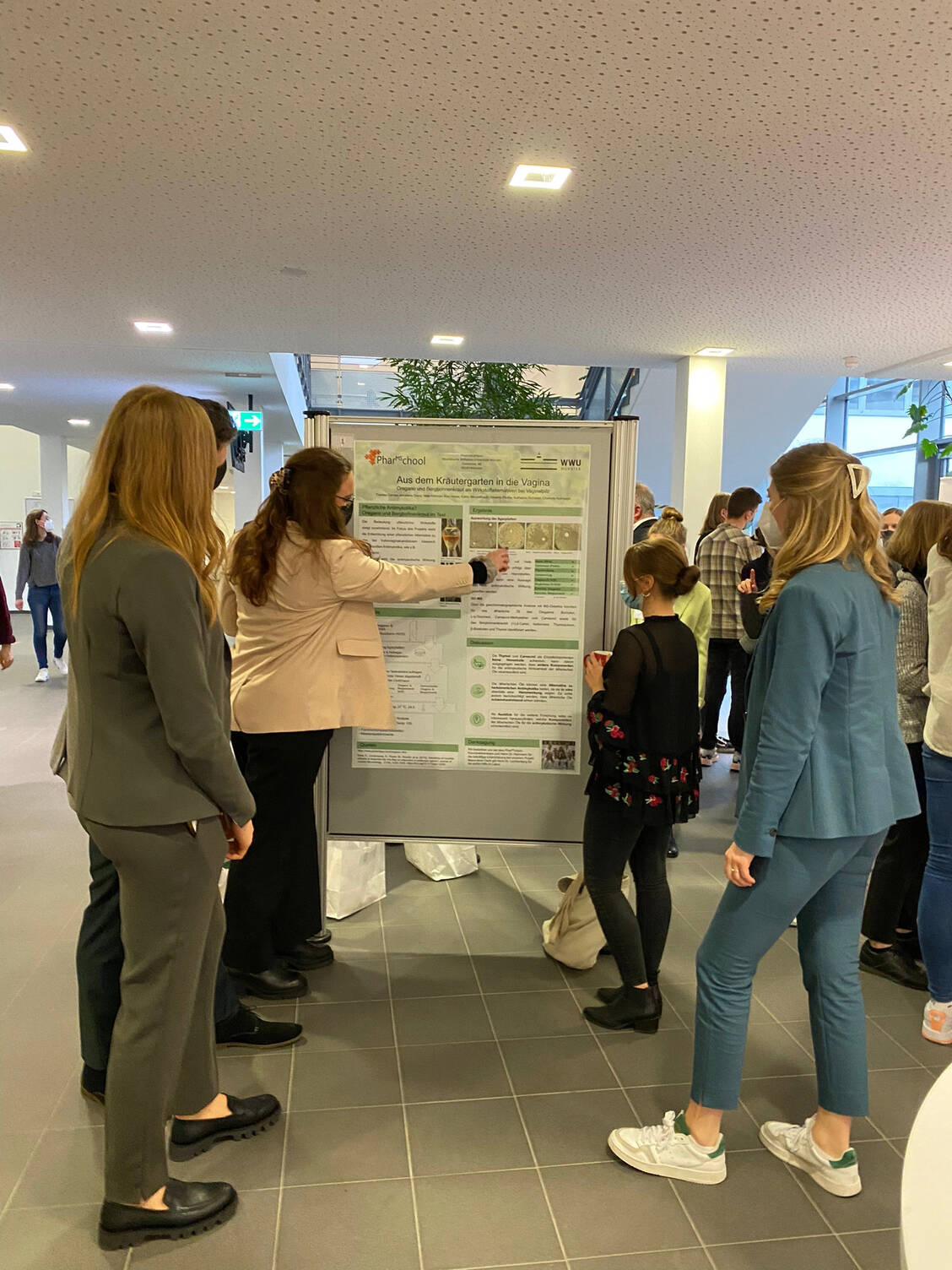 Die Studierenden stellten beim Pharmschool-Symposium ihre selbst entworfenen wissenschaftlichen Poster vor.  / Foto: Charlotte Rothkegel