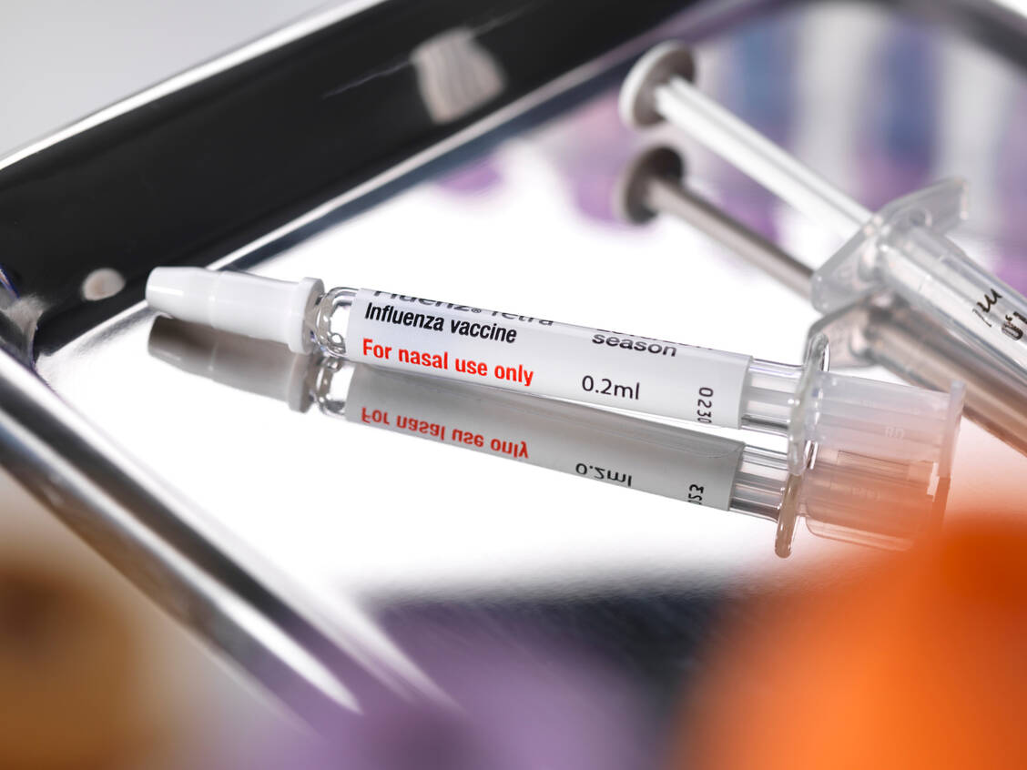 Rund 1 Million Grippeimpfstoffdosen aus der vergangenen Saison sollen nach PZ-Informationen noch in den Apotheken lagern. Nun gibt es endlich eine Lösung zur Rückerstattung. / Foto: Getty Images/TEK IMAGE/SCIENCE PHOTO LIBRARY