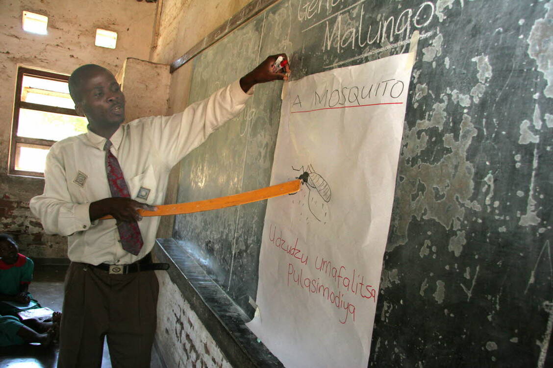 Ein Lehrer in Malawi klärt seine Schüler über Moskitostiche und Malaria auf. / Foto: WHO/S. Hollyman