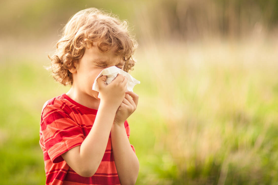 Bei Kindern sind mehr Jungen als Mädchen von Heuschnupfen betroffen; im Erwachsenenalter dreht sich das Geschlechterverhältnis um. Insgesamt leidet in Deutschland etwa jeder Dritte an allergischer Rhinitis. / Foto: Getty Images/Kontrec