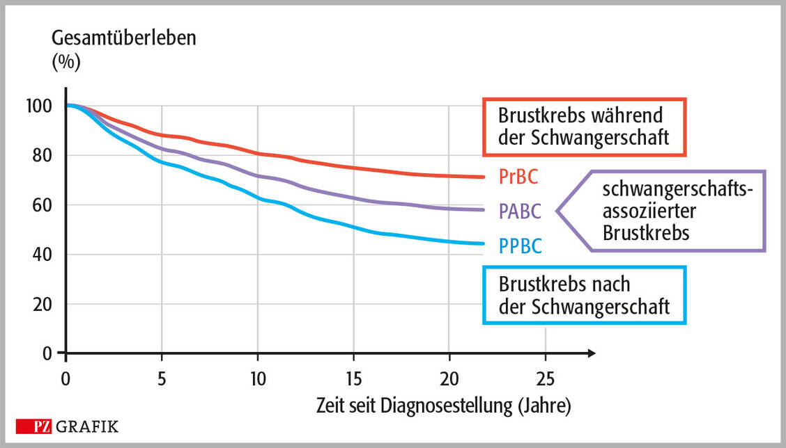 Grafik: Prognose von Frauen mit Brustkrebs (PABC) in Abhängigkeit vom Zeitpunkt der Diagnose / © PZ/Stephan Spitzer