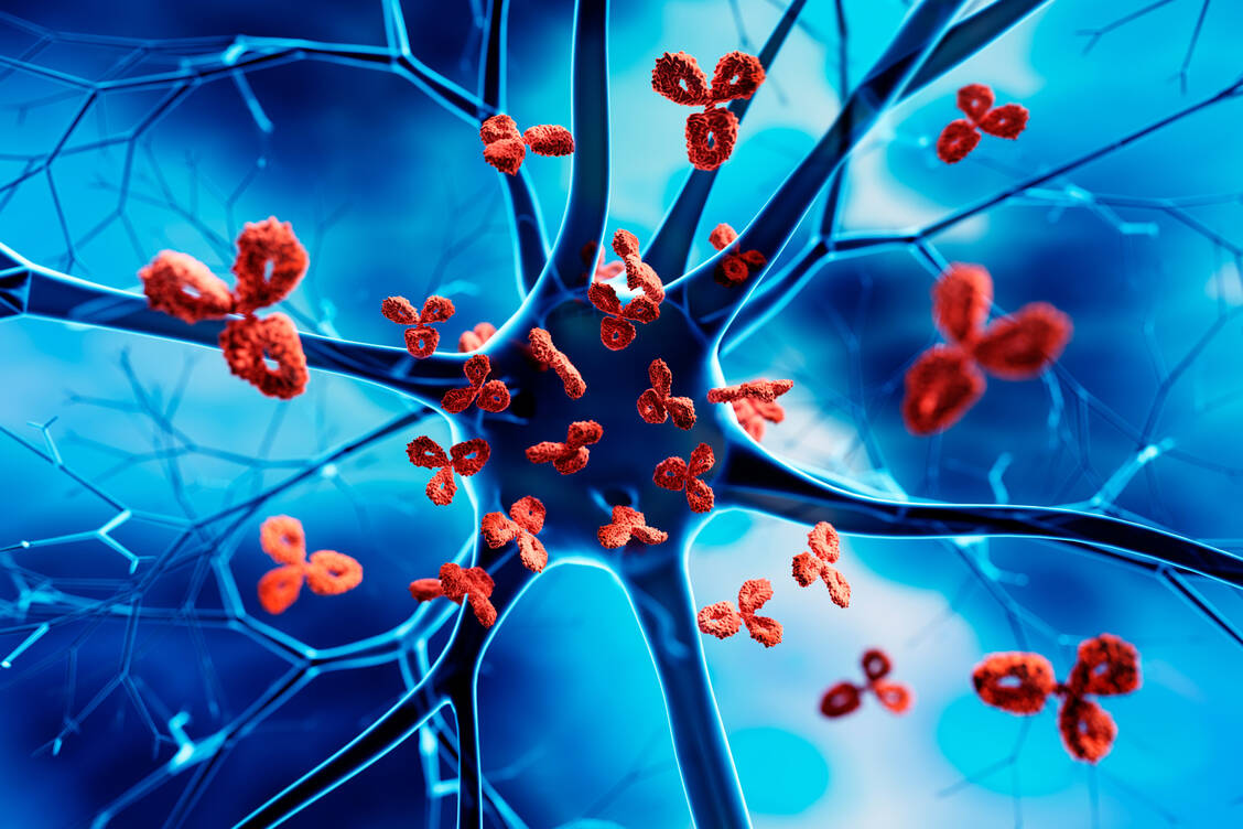 Lecanemab ist ein Antikörper, der für den Abbau von β-Amyloid-Fragmenten im Gehirn von Alzheimer-Patienten sorgen soll. / © Getty Images/peterschreiber.media