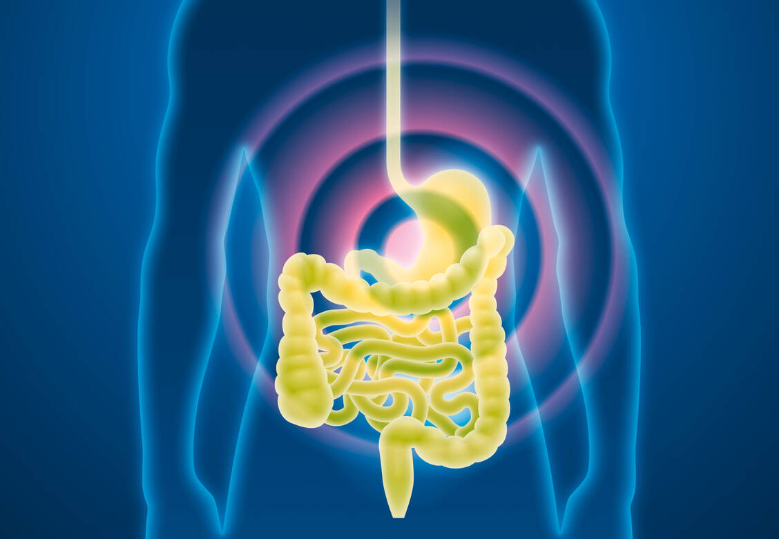 Gastrointestinale Stromatumoren entstehen aus Binde- oder Stützgewebe. Darmkrebs oder Magenkrebs hingegen entstehen aus den Schleimhäuten. / Foto: Adobe Stock