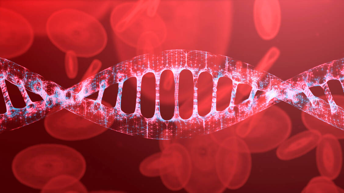 Der nicht invasive Pränataltest ist ein Bluttest, bei dem zellfreie DNA im mütterlichen Blutplasma analysiert wird. / © Getty Images/MR.Cole_Photographer