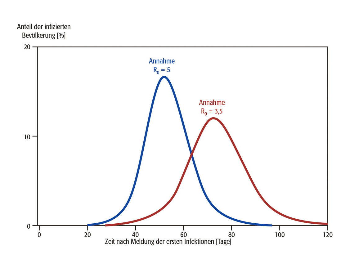 Der Verlauf einer Epidemie hängt maßgeblich unter anderem von der Basis-Reproduktionszahl R<sub>0 </sub>ab. Die blaue Kurve skizziert den Verlauf unter Annahme einer Basis-Reproduktionszahl R<sub>0 </sub>von  5, wohingegen die rote Kurve den Verlauf der Epidemie unter Annahme einer R<sub>0 </sub>von  3,5 skizziert. / Foto: I. Zündorf