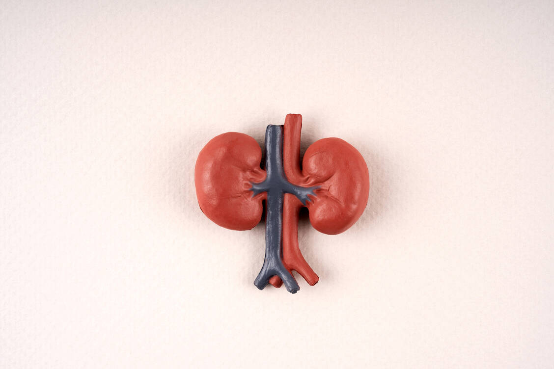 Bei IgA-Nephropathie könnte es mit Sparsentan bald eine neue Therapieoption in der EU geben. / Foto: Getty Images/Nora Carol Photography