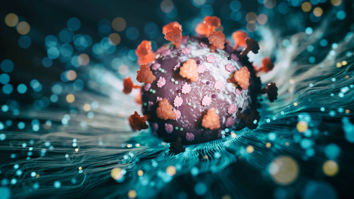 Die Mutationen im Spikeprotein der SARS-CoV-2-Variante BQ.1.1 ermöglicht es dem Virus, einer Behandlung mit den gegen das Wildtypvirus entwickelten Antikörper-Präparaten auszuweichen. / Foto: Getty Images/koto_feja