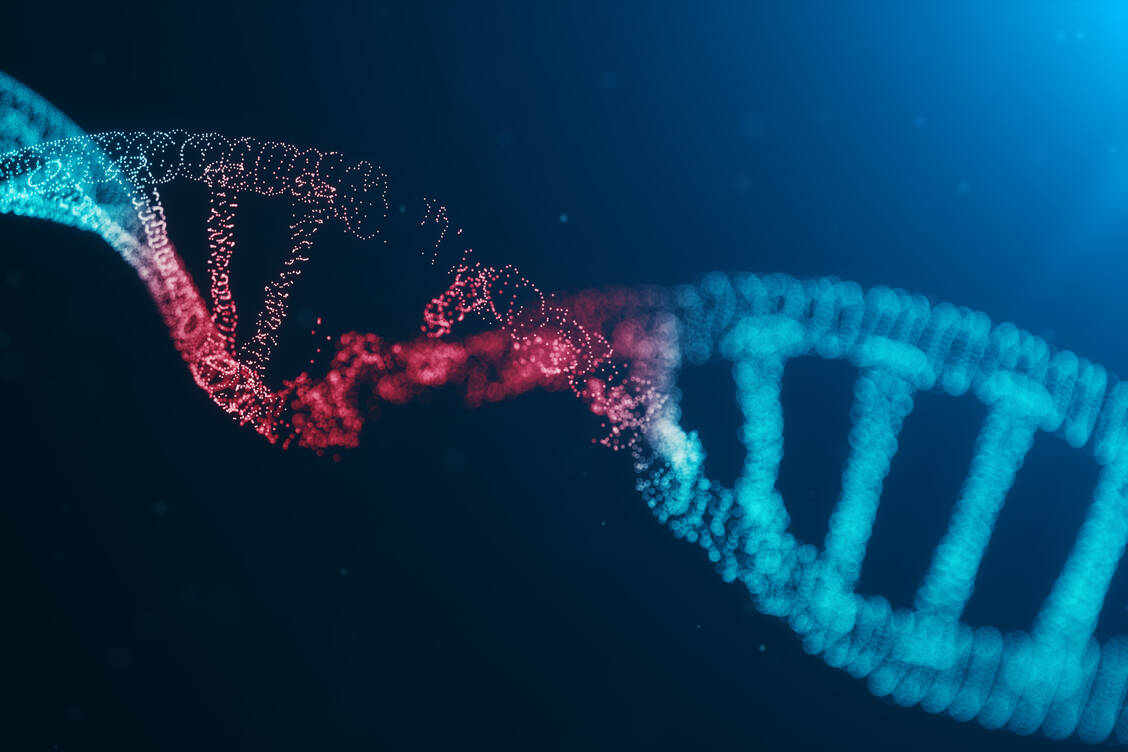 Mit zunehmenden Alter nimmt die Geschwindigkeit der Genexpression und damit die Häufigkeit von Ablesefehlern zu. Das berichten nun Forschende aus Köln und Göttingen. / Foto: Adobe Stock/rost9