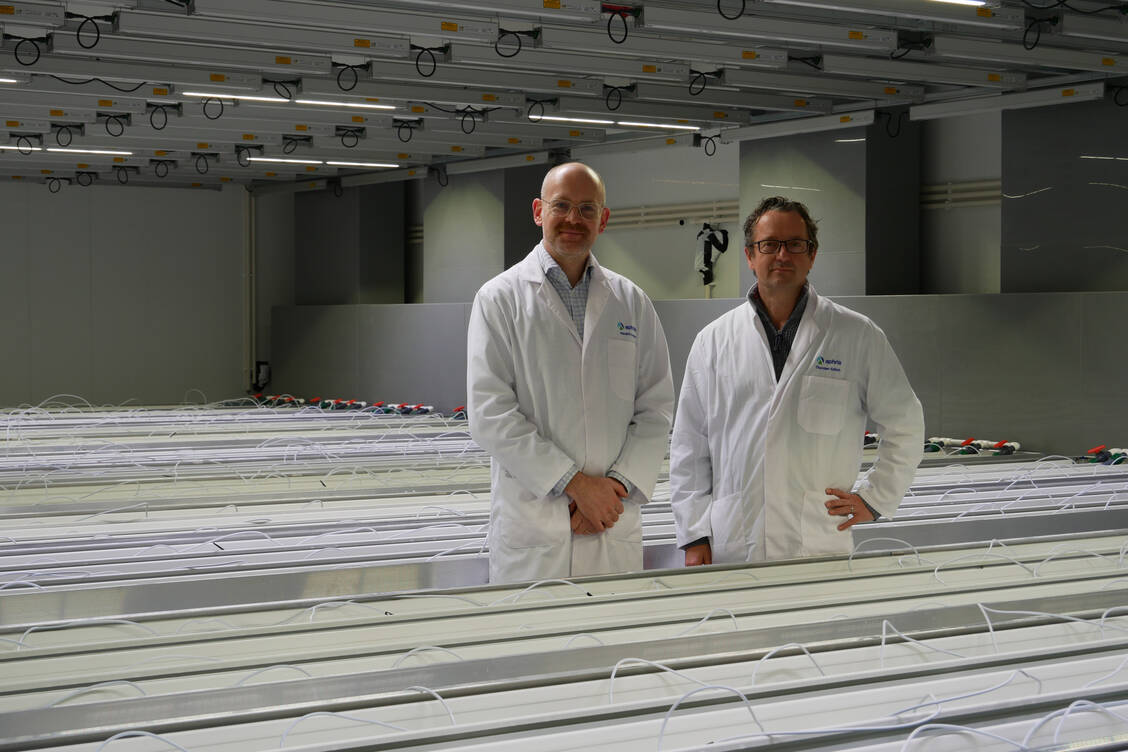 Die beiden Geschäftsführer von Aphria RX, Hendrik Knopp (links) und Thorsten Kolisch, ließen die Indoor-Anbaustätte in Neumünster innerhalb von zwei Jahren errichten. Nun arbeiten dort rund 40 Mitarbeiter und sollen jährlich eine Tonne medizinisches Cannabis produzieren. / Foto: PZ/Kurz