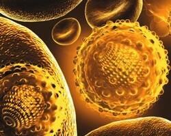 Könnte bald seinen Schrecken endgültig verloren haben – das Hepatitis C Virus.
<p class="fotonachweis">Foto: Fotolia/designersarts</p>
