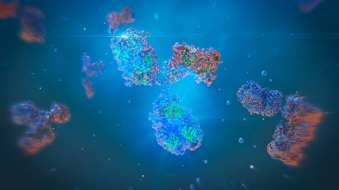 Antikörper sollen in der Frühphase einer Covid-19-Erkrankung zum Einsatz kommen. / Foto: Adobe Stock/Yuriy 