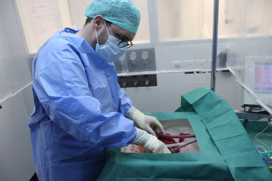 Ein Chirurg schließt eine Spenderleber an die Perfusionsmaschine an. / Foto: Universitätsspital Zürich