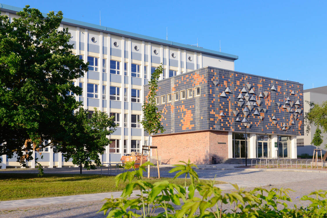 Bei der Sanierung des Gebäudes wurde auch besonders auf den Denkmalschutz geachtet. / © Uni Halle/Markus Scholz