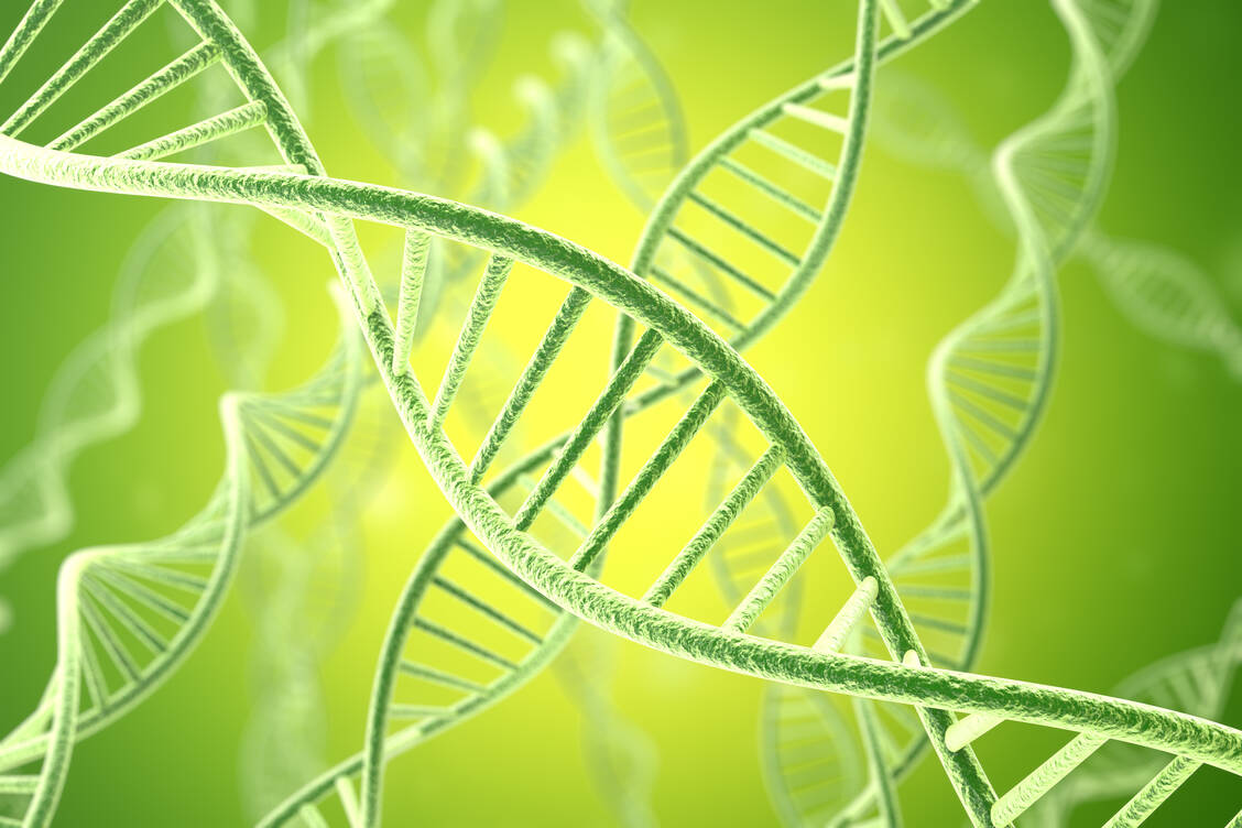 Ob jemand süchtig nach Cannabis wird, liegt zum Teil auch an den Genen. / Foto: Adobe Stock/rost9