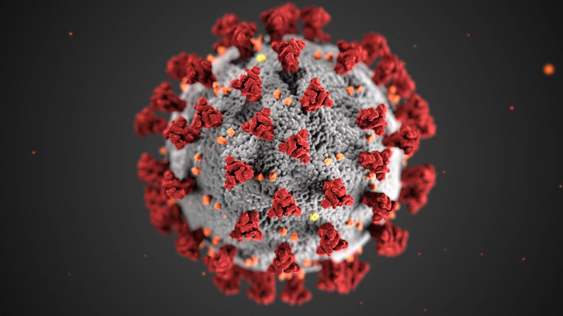 Severe Acute Respiratory Syndrome Coronavirus 2 (SARS-CoV-2): Fast drei Jahre lang brachte dieses Virus das Zusammenleben von Menschen auf der ganzen Welt durcheinander. / © CDC/Alissa Eckert, MSMI; Dan Higgins, MAMS