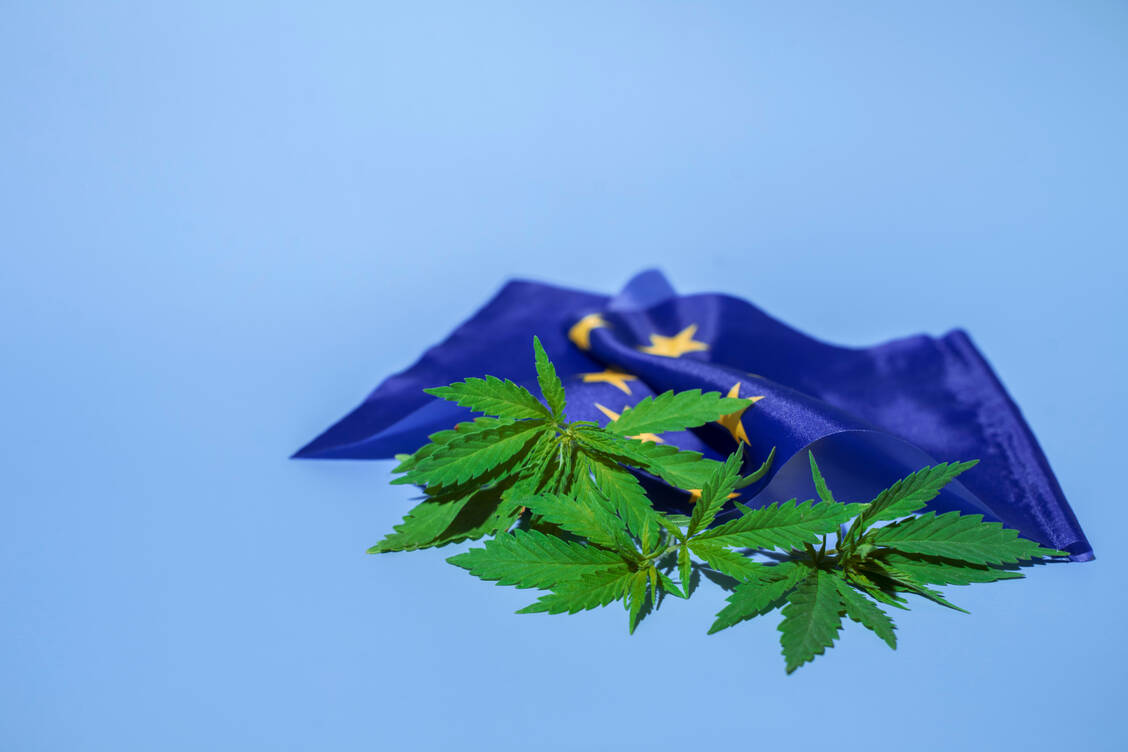 Die EU-Kommission hat beschlossen, die Bürgerinitiative »European Cannabis Initiative« zu registrieren. / Foto: Getty Images/Elena Dy